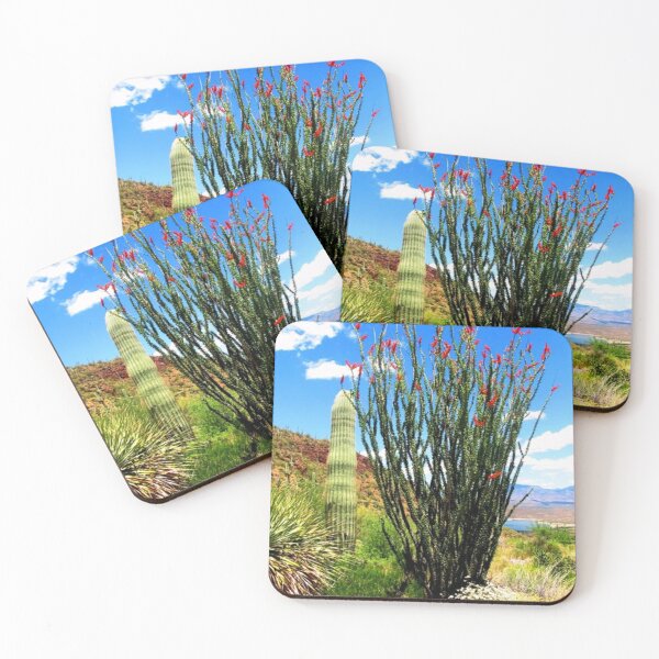 Item preview, Ocotillo Plant inTonto National Forest Arizona designed and sold by Diane Owens.