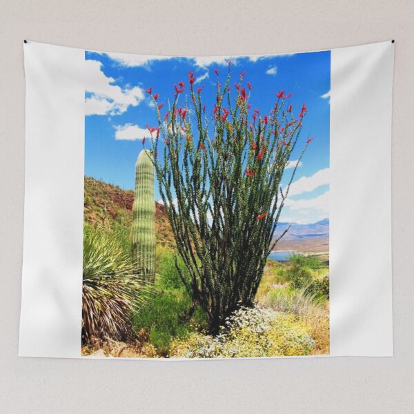 Item preview, Ocotillo Plant inTonto National Forest Arizona designed and sold by Diane Owens.