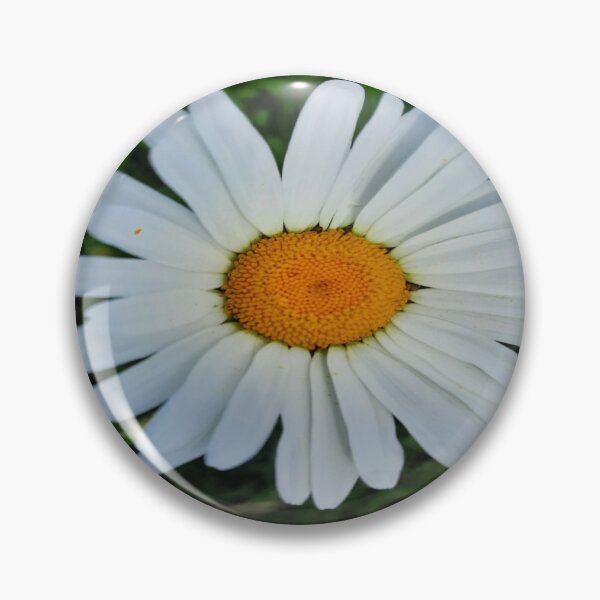 Item preview, Daisy, Floralaesthetic, Love Floral Layers designed and sold by DiensDesign.