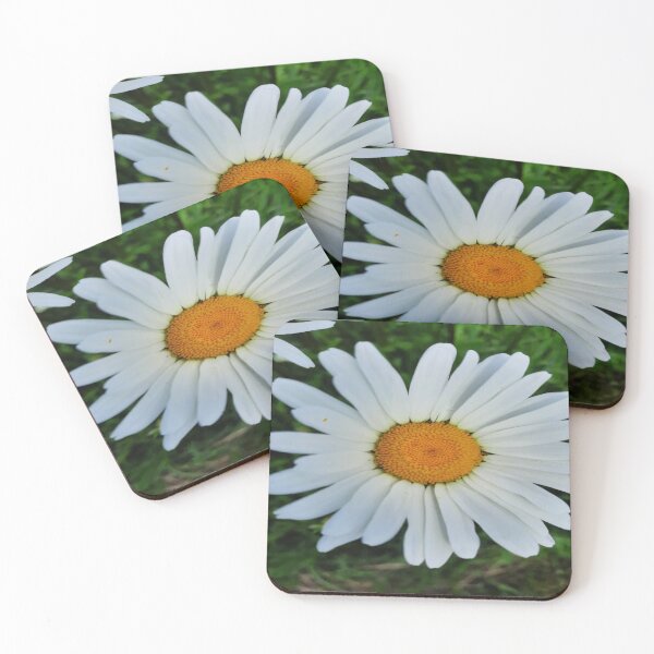 Item preview, Daisy, Floralaesthetic, Love Floral Layers designed and sold by DiensDesign.