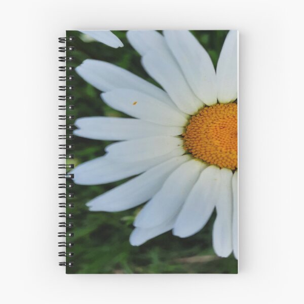 Item preview, Daisy, Floralaesthetic, Love Floral Layers designed and sold by DiensDesign.