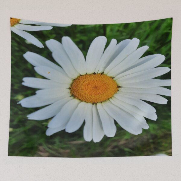 Item preview, Daisy, Floralaesthetic, Love Floral Layers designed and sold by DiensDesign.