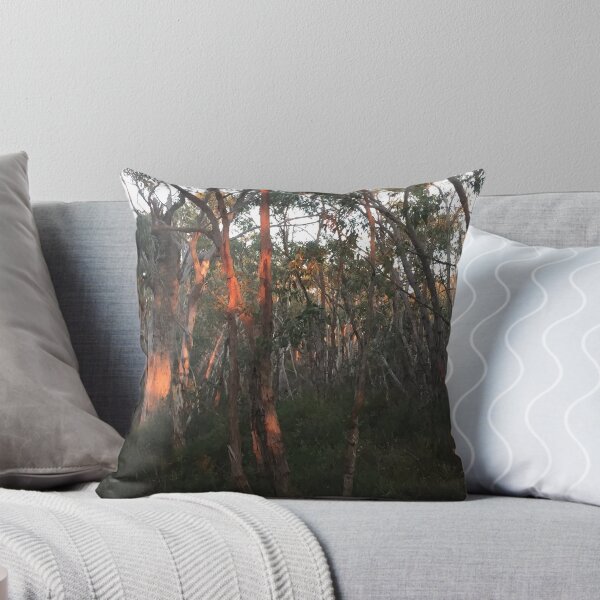 Item preview, Stringybark sunset designed and sold by Phil.