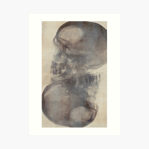 two Art Print