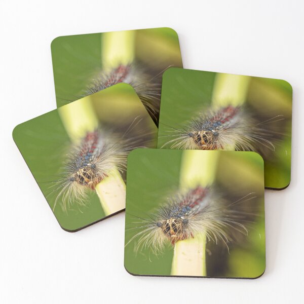 Item preview, Gypsy Moth Caterpillar designed and sold by Eunice Gibb.