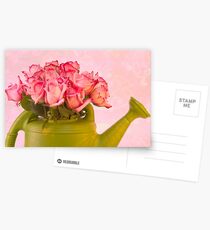 Pink Roses In Green Watering Can Postcards