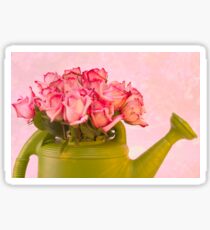 Pink Roses In Green Watering Can Sticker
