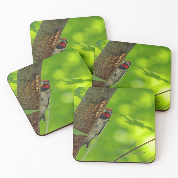 Item preview, Yellow-bellied Sapsucker designed and sold by Eunice Gibb.