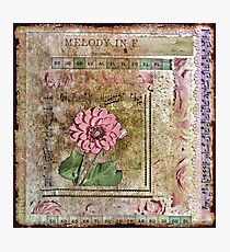 Dahlia in Melody F Photographic Print