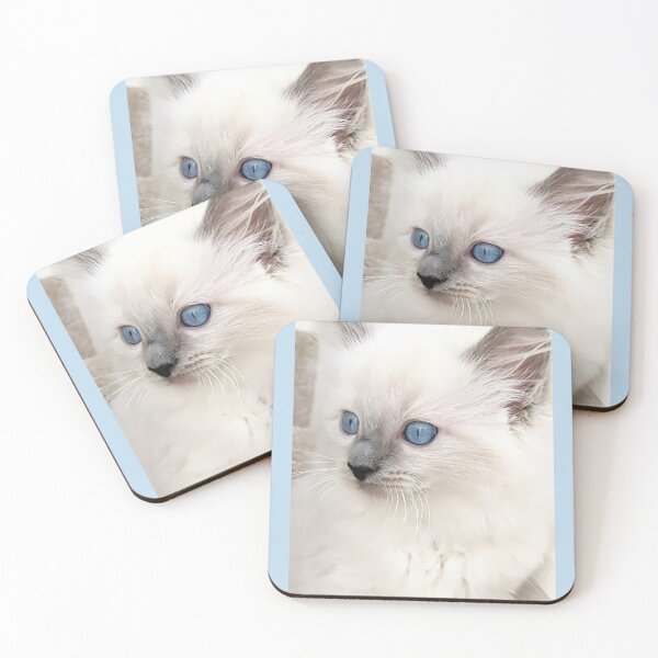 Item preview, Blue point ragdoll kitten designed and sold by Fluffycat2020.