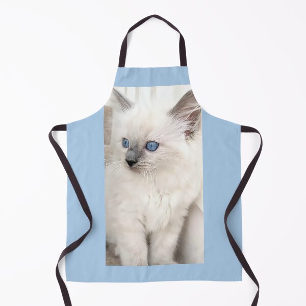 Item preview, Blue point ragdoll kitten designed and sold by Fluffycat2020.