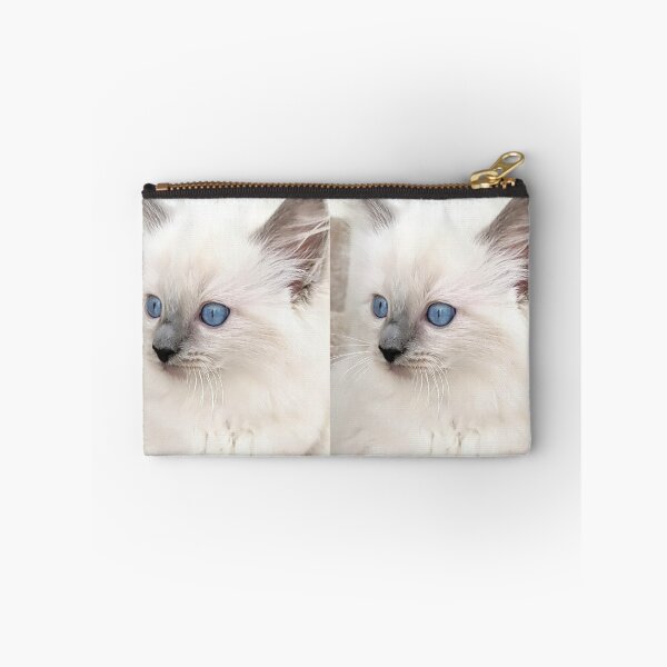 Item preview, Blue point ragdoll kitten designed and sold by Fluffycat2020.