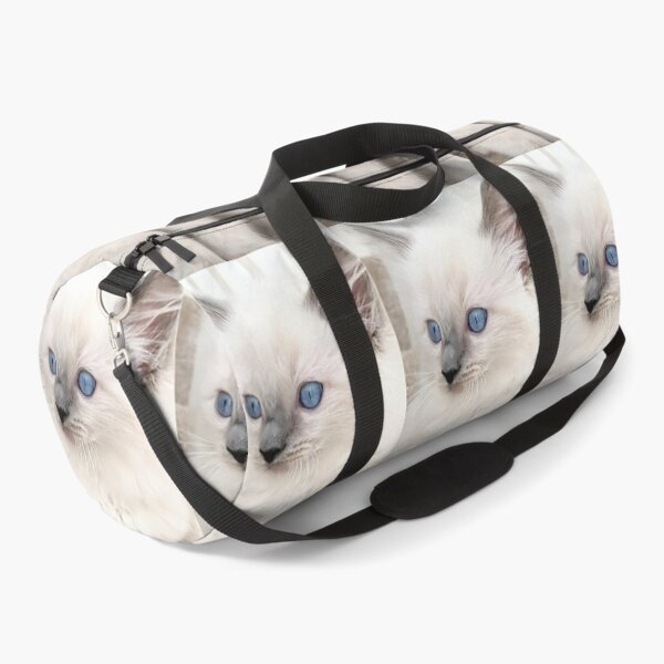 Item preview, Blue point ragdoll kitten designed and sold by Fluffycat2020.