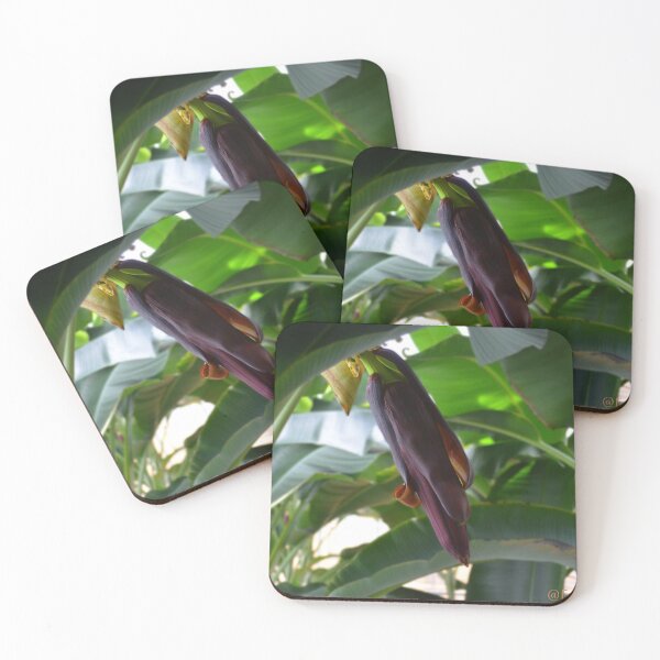 Item preview, Banana Flower designed and sold by ferchucky.