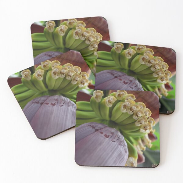 Item preview, Banana Flower design 2 designed and sold by ferchucky.