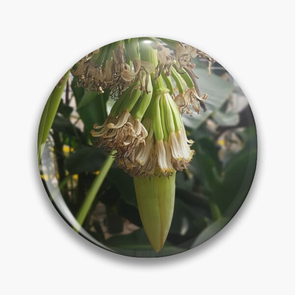 Item preview, Banana Flowers designed and sold by ferchucky.