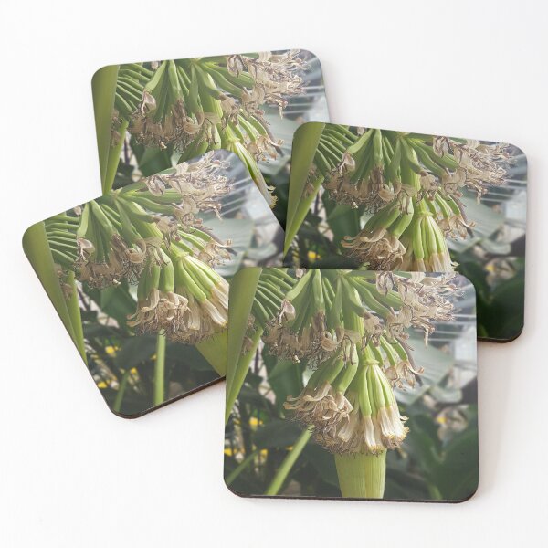 Item preview, Banana Flowers designed and sold by ferchucky.