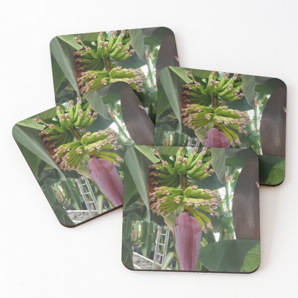 Item preview, Banana Flowers 4 designed and sold by ferchucky.
