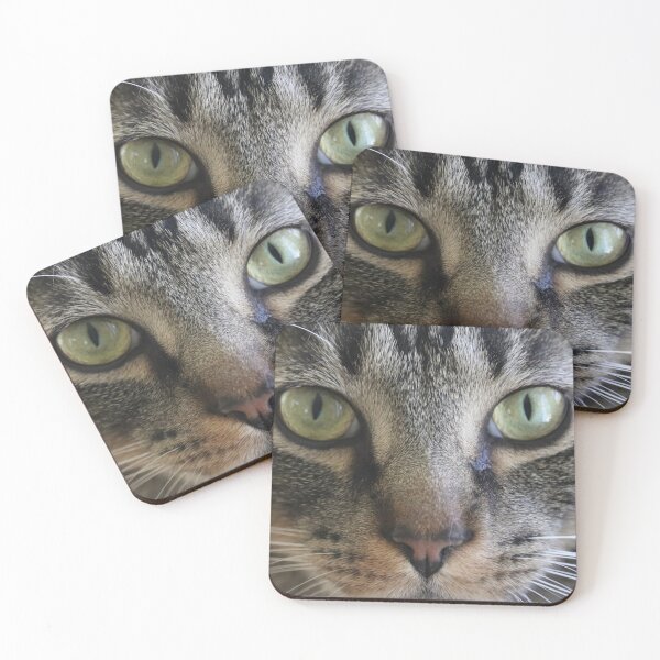 Item preview, Rescue Cat with Green Eyes designed and sold by Artparginger.