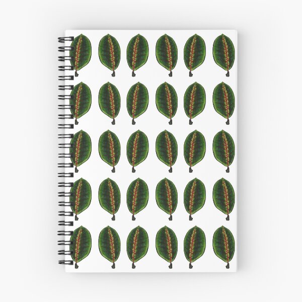 Item preview, Maranta Leuconeura designed and sold by -Senaar-.
