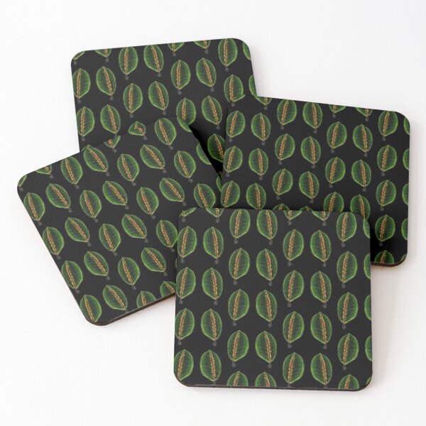 Item preview, Maranta Leuconeura (Black BG) designed and sold by -Senaar-.