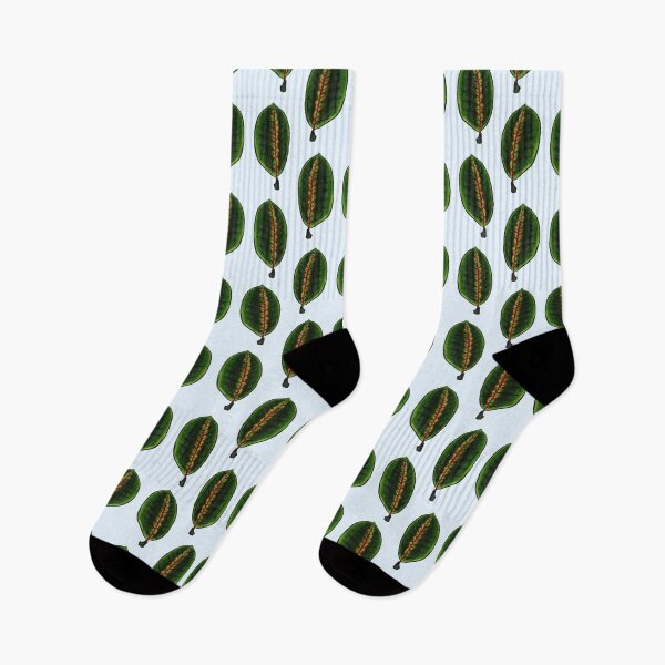Item preview, Maranta Leuconeura (Blue BG) designed and sold by -Senaar-.