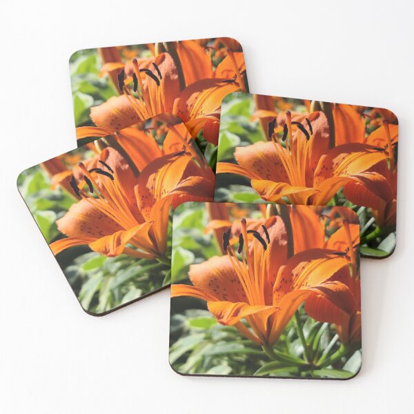 Item preview, Tiger Lily designed and sold by farmbrough.