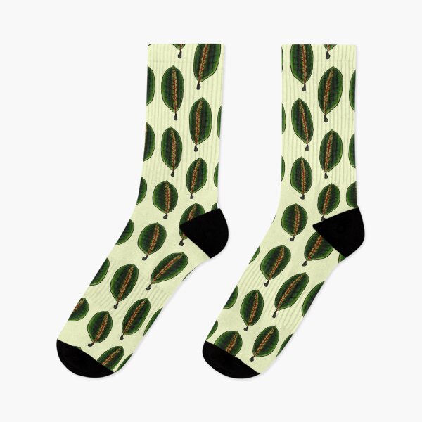 Item preview, Maranta Leuconeura (yellow-green BG) designed and sold by -Senaar-.