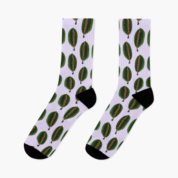 Item preview, Maranta Leuconeura (violet BG) designed and sold by -Senaar-.