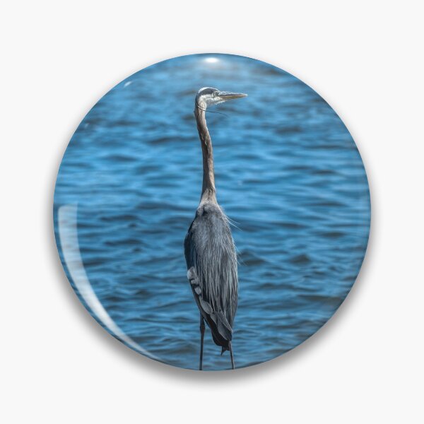 Item preview, Great Blue Heron Standing Tall designed and sold by ShorelineImages.
