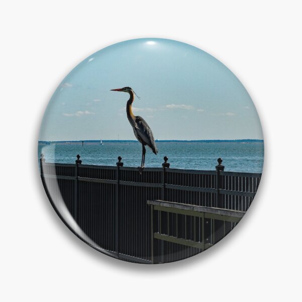 Item preview, Great Blue Heron on the Fence designed and sold by ShorelineImages.