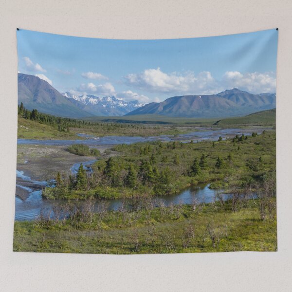 Item preview, Savage River, Denali National Park, Alaska designed and sold by SafariByMarisa.