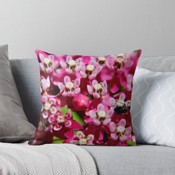 Aperçu de l'œuvre Swamp Milkweed créée et vendue par Kathleen Daley.