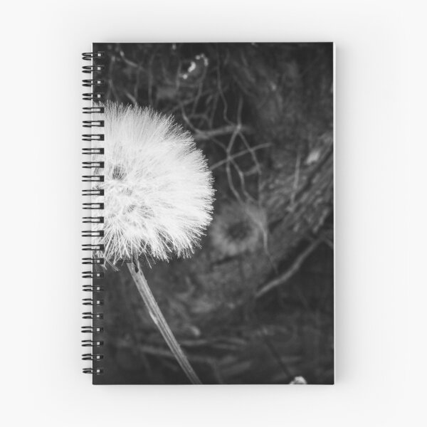 Item preview, No dejes que el viento sople designed and sold by harrismmxv.