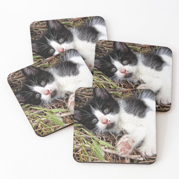 Item preview, cute black and white kitty  designed and sold by Stephanie  Skeem.