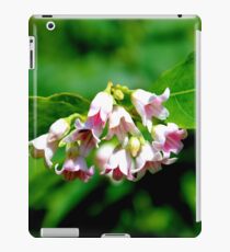 Dogbane iPad-Hülle & Klebefolie