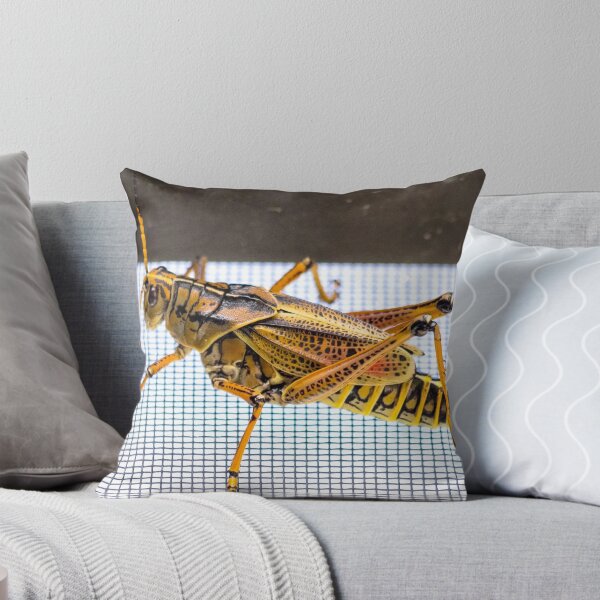 Item preview, One Impressive Grasshopper designed and sold by Mikell Herrick.