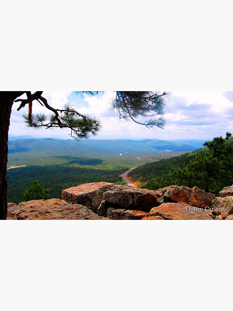 "Mogollon Rim in Arizona" Poster for Sale by dianemowens Redbubble