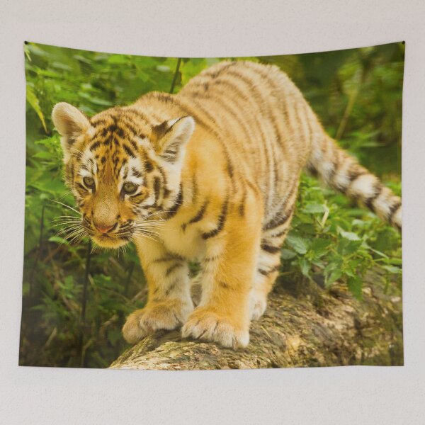 Item preview,  panoramic,panoramic wall art, panoramic canvas,Tapestries,Tapestry,throw blankets,comforters,tiger,animal, animals,tiger wall art,tiger artwork,tigers,wild,tiger art,tiger painting, designed and sold by eyesight4vision.