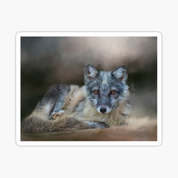 Item preview, Artic Fox designed and sold by KathleenRinker.