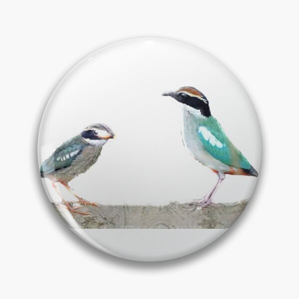 Item preview, The eight-color bird is also called the fairy eight-color bird, and its English name is Biue-Winged Pitta.  designed and sold by zenger2021.