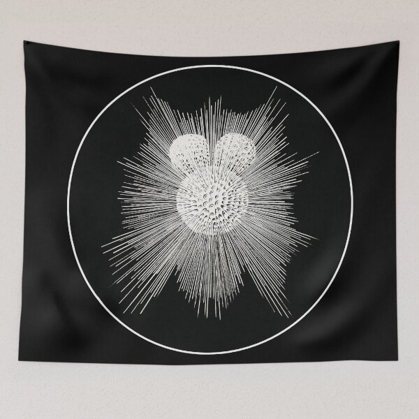 Item preview, Graphic explosion designed and sold by Astralia.