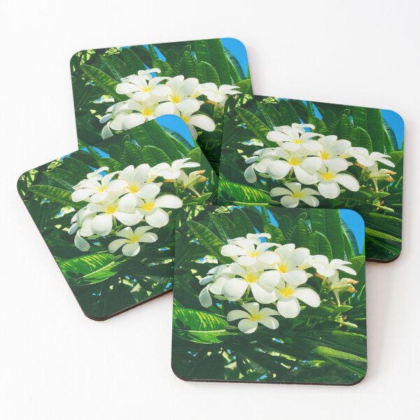 Item preview, Pleasant Hawaiian Tropical Plumeria Flowers Art Photo designed and sold by DEC02.