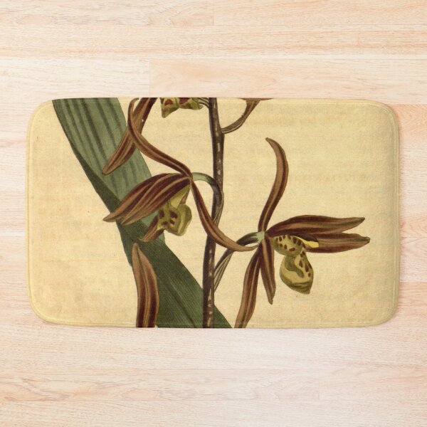 Item preview, Cymbidium sinense (as Epidendrum sinense) Curtis' 23 pl. 888 (1806) designed and sold by EsotericBotanic.