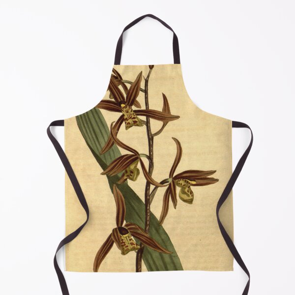 Item preview, Cymbidium sinense (as Epidendrum sinense) Curtis' 23 pl. 888 (1806) designed and sold by EsotericBotanic.