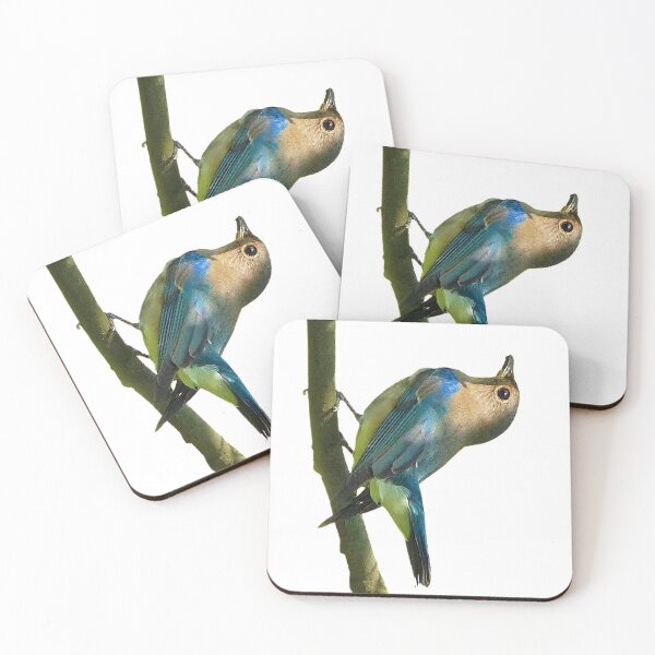 Item preview, White-bellied Liuli (White-bellied Flychatcher) Blue -and -white Flychatcher, alias is Liuli bird, mangosteen bird. designed and sold by zenger2021.