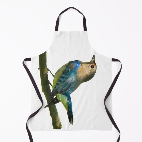 Item preview, White-bellied Liuli (White-bellied Flychatcher) Blue -and -white Flychatcher, alias is Liuli bird, mangosteen bird. designed and sold by zenger2021.