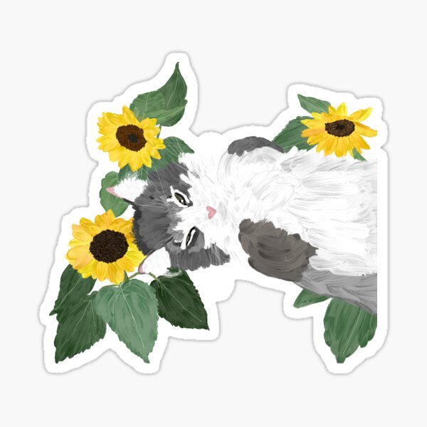 Cat sleeping with sunflowers Sticker