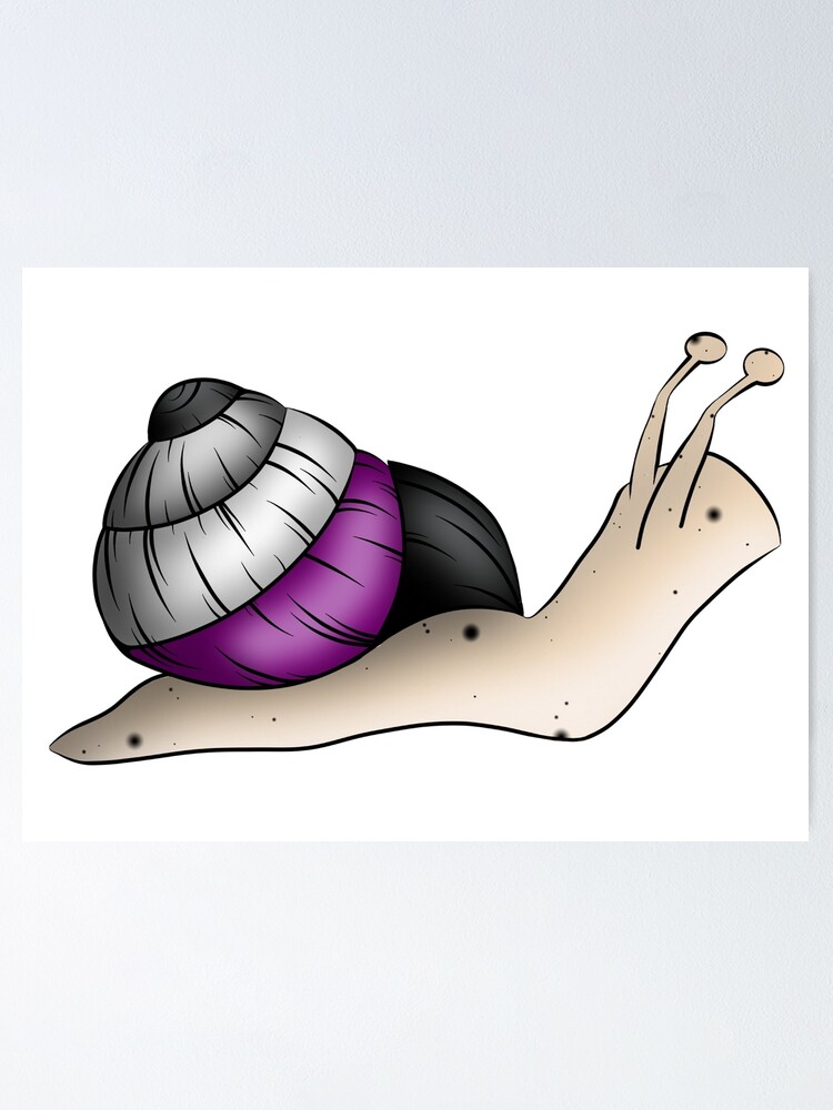 Póster «Caracol del orgullo asexual, etiqueta engomada del orgullo asexual  sutil, orgullo asexual, caja del teléfono asexual, ropa asexual, bandera  del orgullo asexual sutil,» de MWStickers | Redbubble