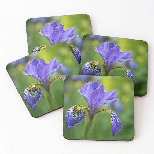 Item preview, Siberian Iris designed and sold by Alisonchambers2.